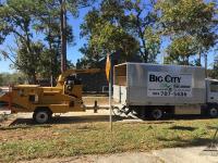 Big City Tree Service, Inc. image 5